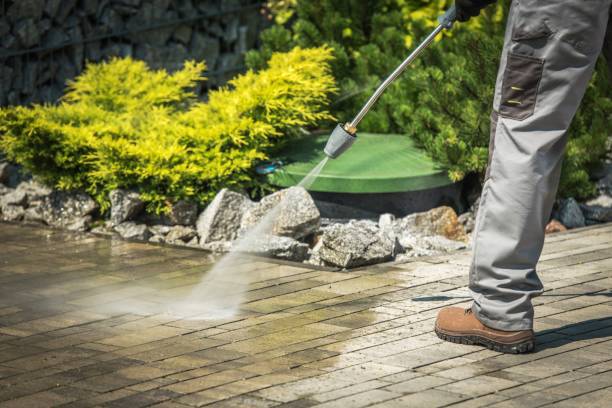 Best Winterizing Services  in Edgewood, OH
