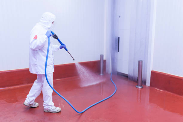 Best Patio and Deck Pressure Washing  in Edgewood, OH