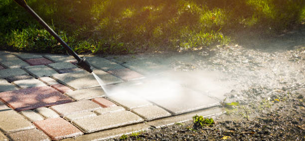 Best Animal Enclosure Cleaning  in Edgewood, OH